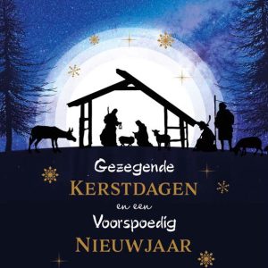 Doosje 10 kerstkaarten Gezegende Kerstdagen en een Voorspoedig nieuwjaar
