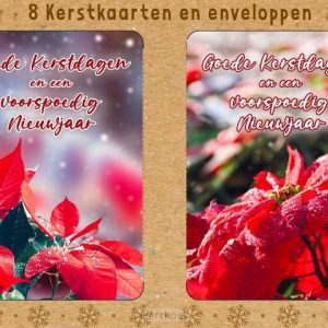 Kerstbox Goede kerstdagen en een voorspoedig nieuwjaar