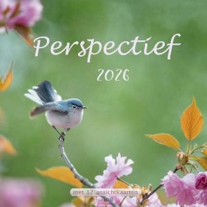 Kalender 2026 perspectief NBV