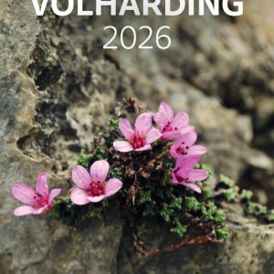 Volharding 2026