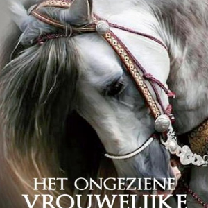 Het Ongeziene Vrouwlijke