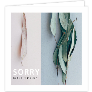 Dubbele kaart Sorry het spijt me echt