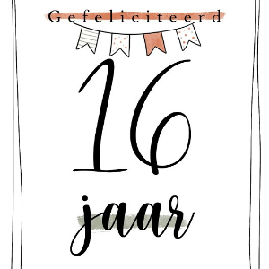 Enkele kaart 16 jaar