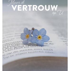 Maar ik vertrouw op U