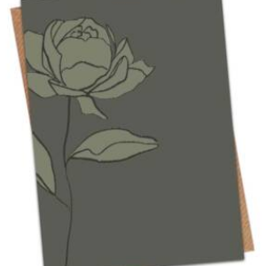 Ansichtkaart Roos