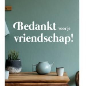 Minikaart Bedankt voor je vriendschap