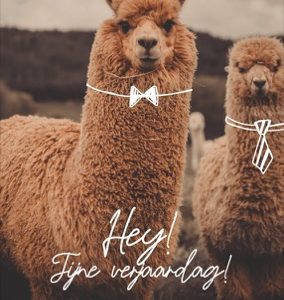 Dubbele kaart Fijne verjaardag