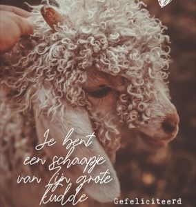 Dubbele kaart Je bent een schaapje van Zijn grote kudde