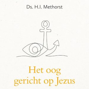 Oog gericht op Jezus
