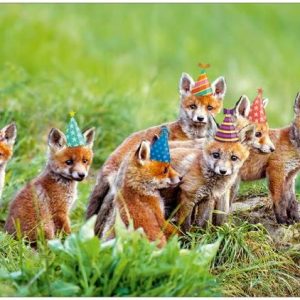 Ansichtkaart Vosjes met feesthoedjes op