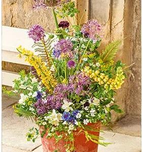 Ansichtkaart Bloempot met bloemen