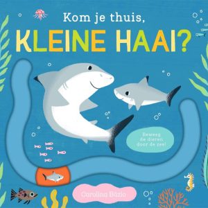 Kom je thuis kleine haai?