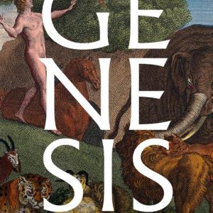 Robinson: Genesis