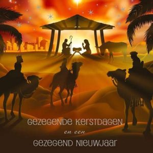 Doosje kerstkaarten Gezegende kerstdagen