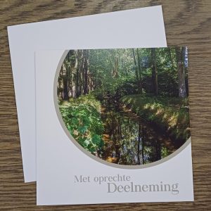 Kaart Zutphen Huis de Voorst