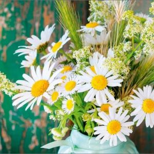 Dubbele kaart - Bosje margrietjes