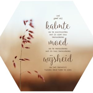 Muurcirkel Honingraat - Gebed om kalmte