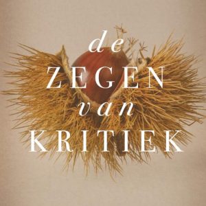 Zegen van kritiek, De