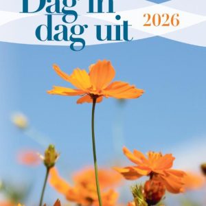 Dag in dag uit 2026 standaard