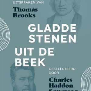 Gladde stenen uit de beek