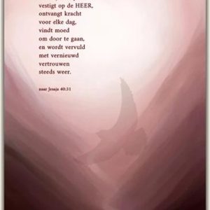 Wie zijn hoop vestigt op de HEER