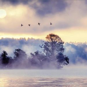 Dubbele kaart - mistig landschap