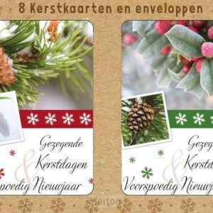 Doos met 8 dubbele kerstkaarten
