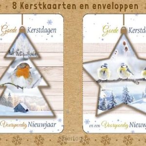 Doos met 8 dubbele kerstkaarten