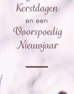 Boekenlegger Goede Kerstdagen