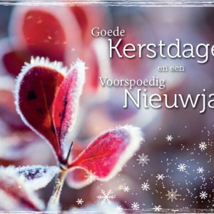 Map 5 Prentbriefkaarten Goede Kerstdagen