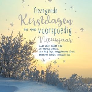 Hangdoosje Gezegende Kerst en voorspoedig nieuwjaar