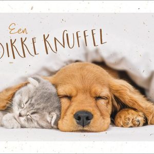 Dubbele kaart Een Dikke Knuffel