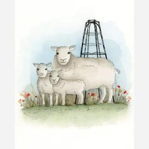 Ansichtkaart Schapen