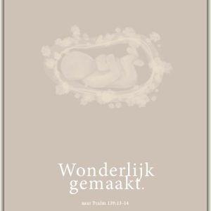 Wonderlijk gemaakt