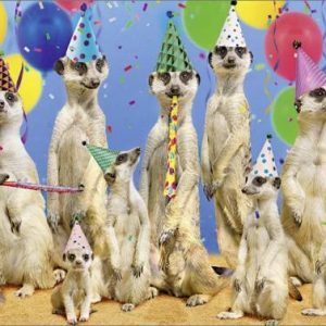 Kinderverjaardagskaart met stokstaartjes