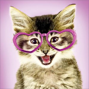 Blanco kaart met poes met bril