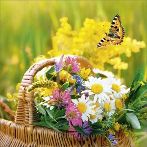 Blanco kaart met mand met bloemen