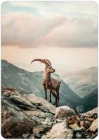 blanco kaart - Bokje in de bergen