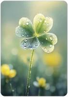 Ansichtkaart - Klavertje vier