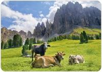 Ansichtkaart - Koeien in landschap met bergen