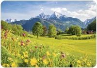 Ansichtkaart -  bergen en bloemen