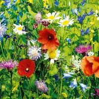 Minikaart - Veldbloemetjes