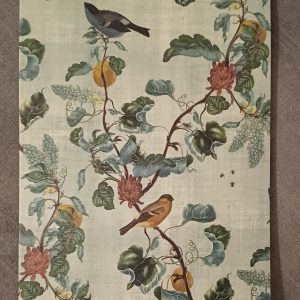 Dubbele kaart Vogels