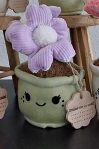 Knuffelplant Paars Blij met jou