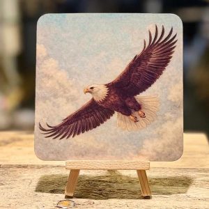 Vierkante kaart Adelaar