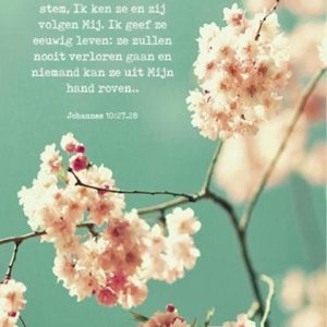 Bordje Mijn schapen luisteren naar Mijn stem