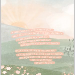 Poster A3 Ik weet niet hoe