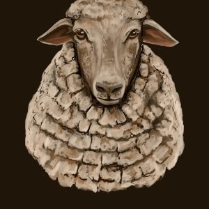 Kaartje A7 Zie, het Lam Gods