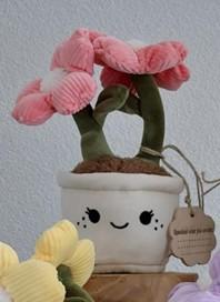 Knuffelplant Roze Blij met jou