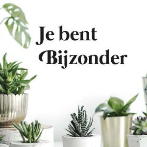 Minikaart Je bent bijzonder